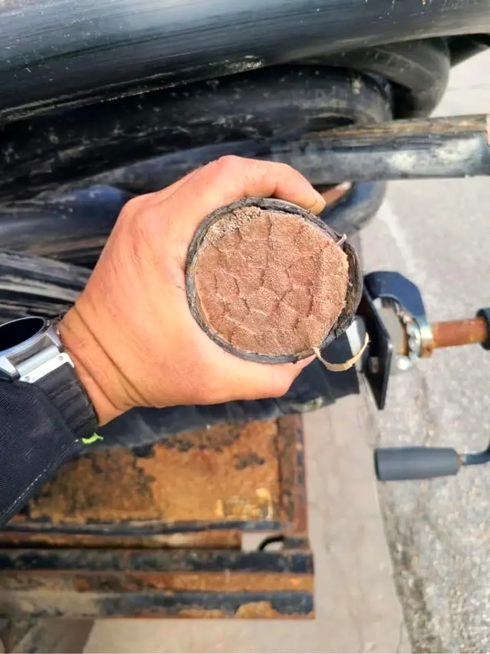 Cut cable end showing copper cross-section