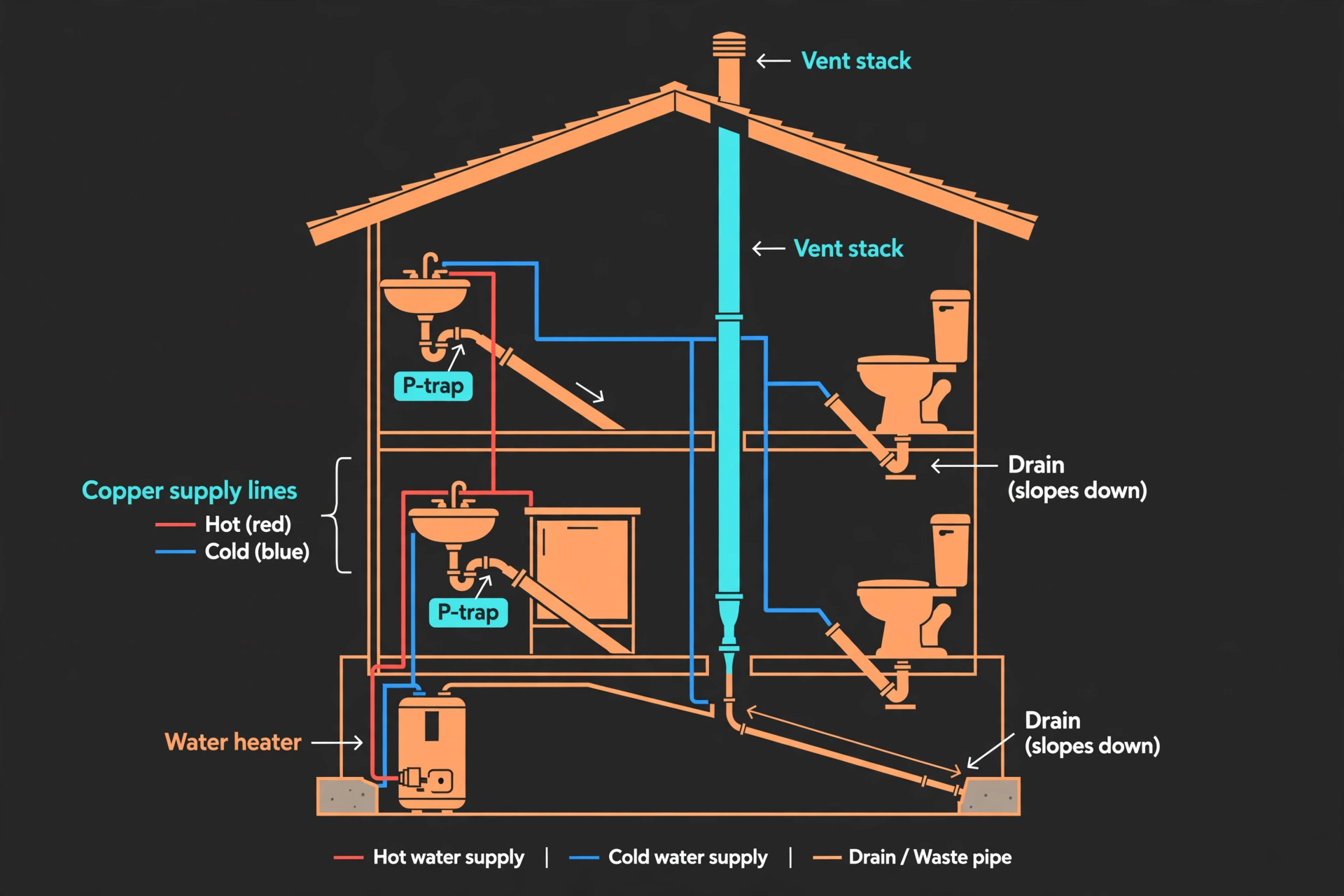 Cutaway diagram of a house showing the full plumbing system: copper hot and cold supply lines from a basement water heater, sloped drain pipes, P-traps under sinks, and a vent stack rising through the roof.